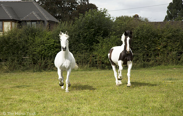 Kilsyth and Mull c (1)