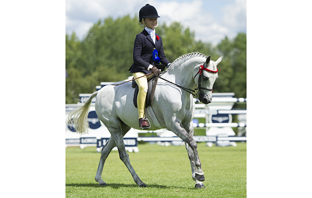 RIHS 2016 MILTON PAGEBOY ZARA BROOKES