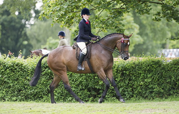 RUNNON RUBY TUESDAY ABBIE DARK