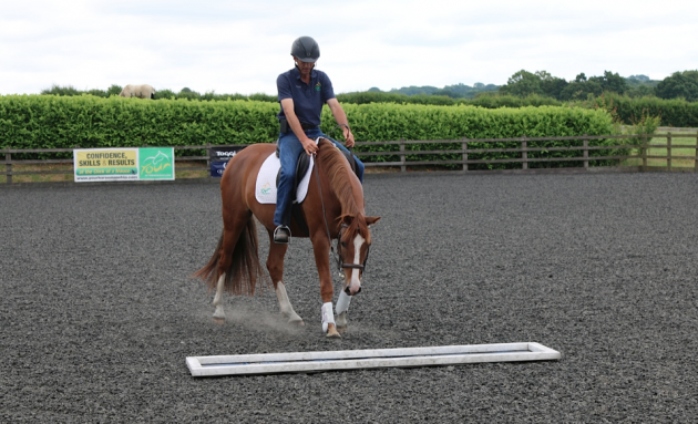 Screen Shot 2016-08-05 at 10.33.28