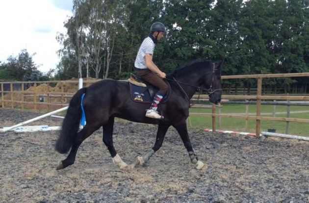 Screen Shot 2016-08-09 at 12.39.49