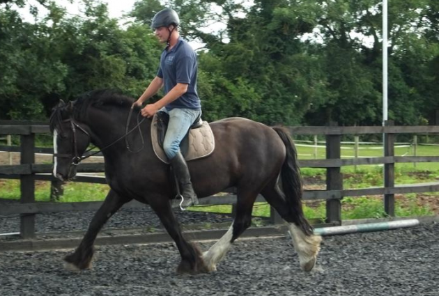 Screen Shot 2016-08-09 at 12.46.45