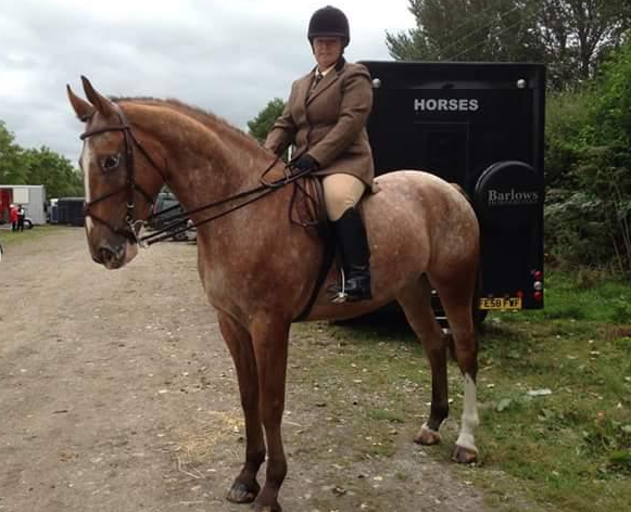 Screen Shot 2016-08-16 at 11.26.28