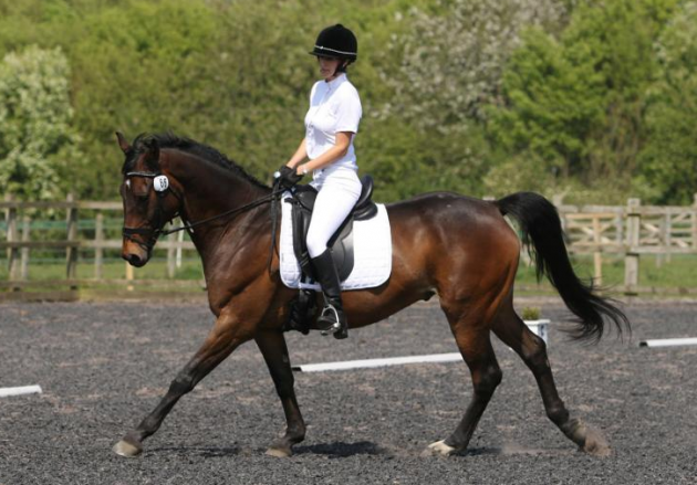 Screen Shot 2016-08-16 at 11.30.55