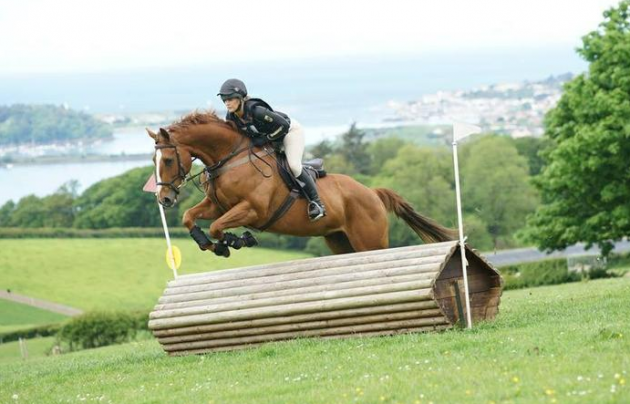 Screen Shot 2016-08-16 at 11.54.38