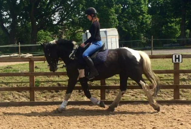 Screen Shot 2016-08-23 at 15.07.42