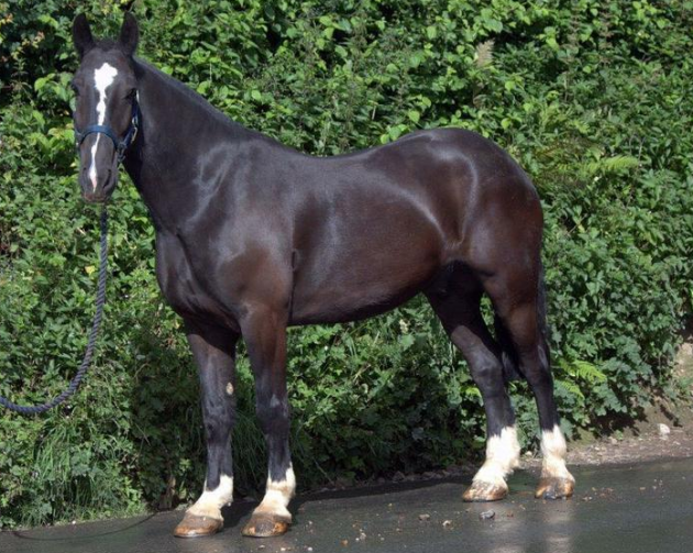 Screen Shot 2016-08-23 at 15.19.33