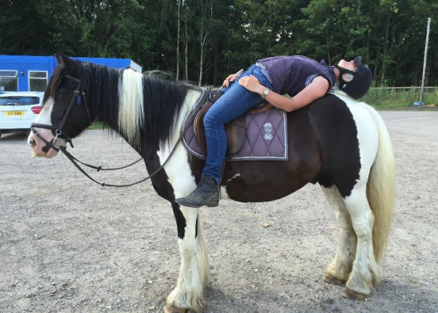 Screen Shot 2016-08-23 at 15.37.44