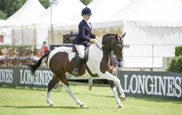 RIHS 2016 TAMBROOK MY DESTINY MISS LUCINDA FARMBROUGH