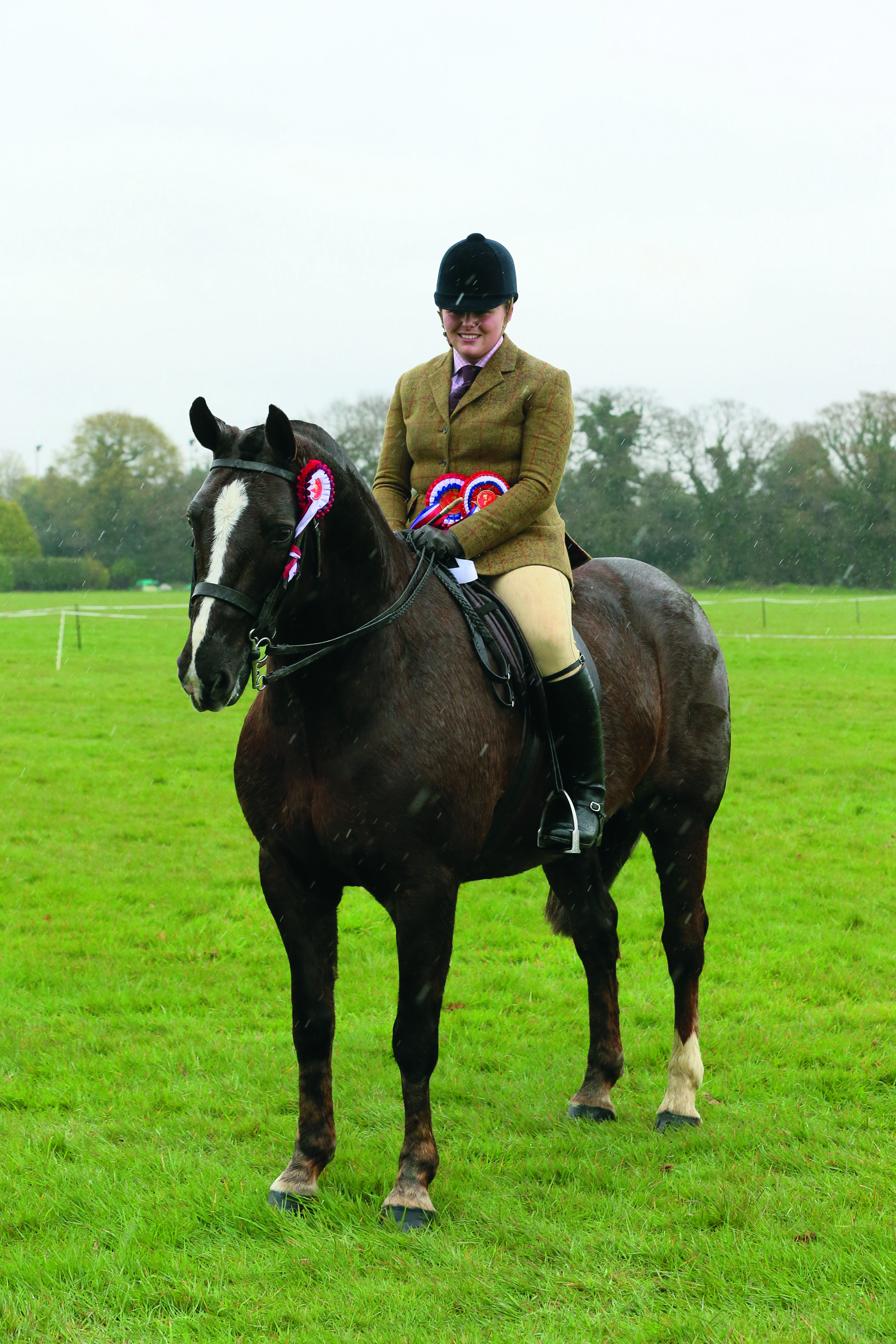 RIHS COB CHAMPIONSHIP  55 The Comedian R: Lily Gibbs