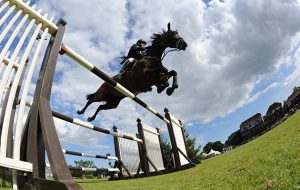 Tim STOCKDALE GBR riding FLEUR DE L'AUBE, during The Longines King George V Gold Cup presented by Longines, during the Royal International Horse Show at The All England Jumping Course, Hickstead, West Sussex, UK on 31 July 2016