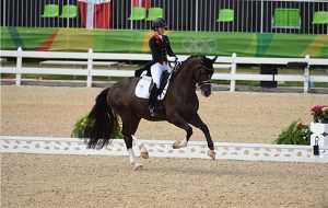 Valegro retirement