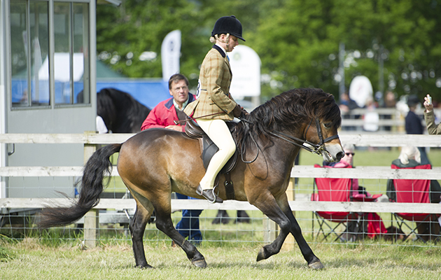 Warrenmere Woodcock and Elizabeth Etchells
