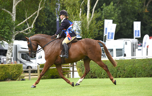 JOSEPHINE READY riding WOLFERLOW ESPERANTO, winner in The Supreme Show Hunter Pony Championship during the Royal International Horse Show at The All England Jumping Course, Hickstead, West Sussex, UK on 27 July 2016