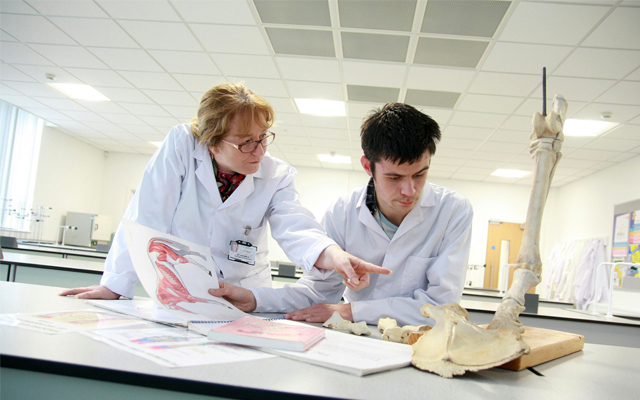 equine-undergraduate-in-science-labs_640x400