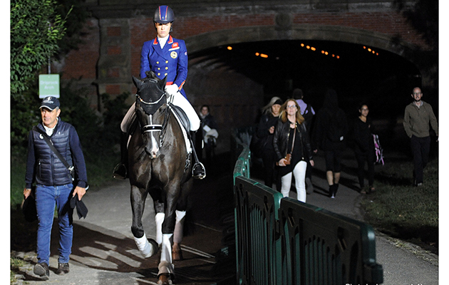 Valegro in New York