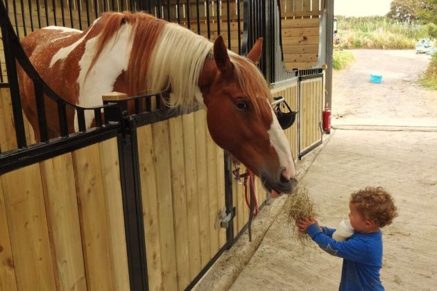 14115501_891558574310177_895657561039468949_o