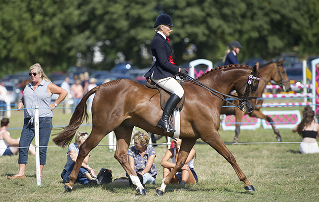 Fiona Farquharson and Anton Lottle Astaire