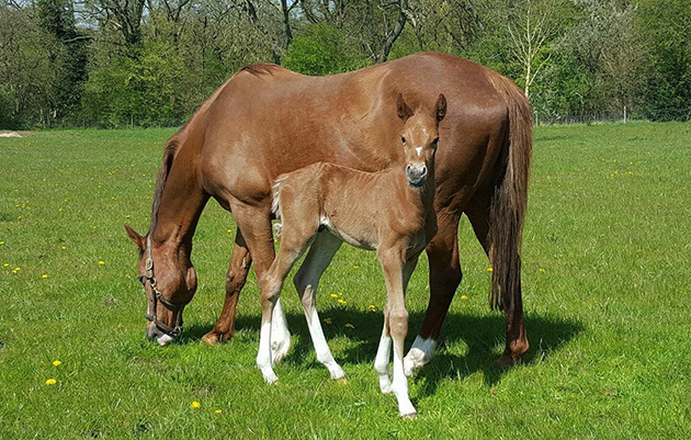 chrome-and-his-mum-melissa