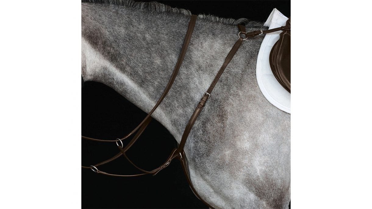 Best breastplates for horses in all styles Horse & Hound