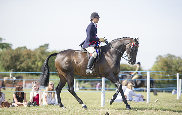 Sara Parrott and Devil Or Angel