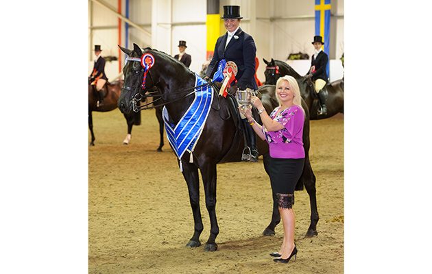 Jo Bates ELUSIVE 126