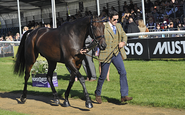 Ben Way  riding GALLEY LIGHT during the final vet check during The Land Rover Burghley Horse Trials  near Stamford in Lincolnshire UK on 3rd September 2016