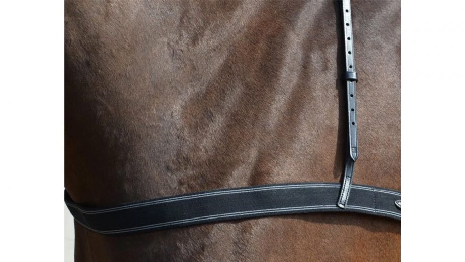 Best breastplates for horses in all styles Horse & Hound