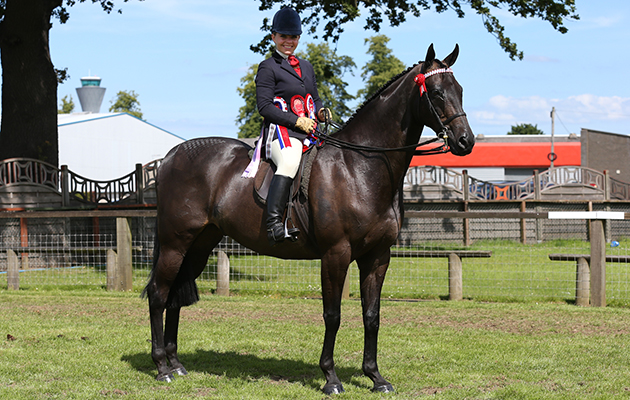 Kimberley Minchin - Saatchi (174)