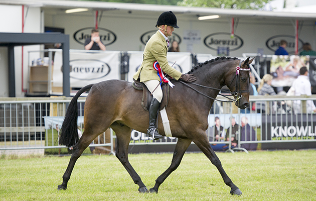 James Smyth and Kingsford Final Command