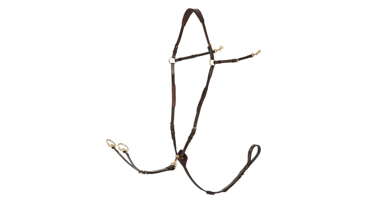 Best breastplates for horses in all styles Horse & Hound