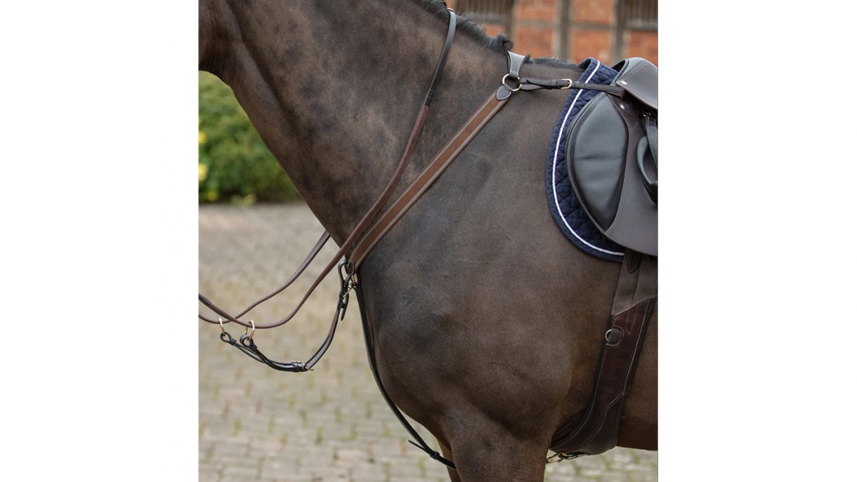 Best breastplates for horses in all styles Horse & Hound