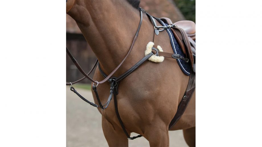 Best breastplates for horses in all styles Horse & Hound