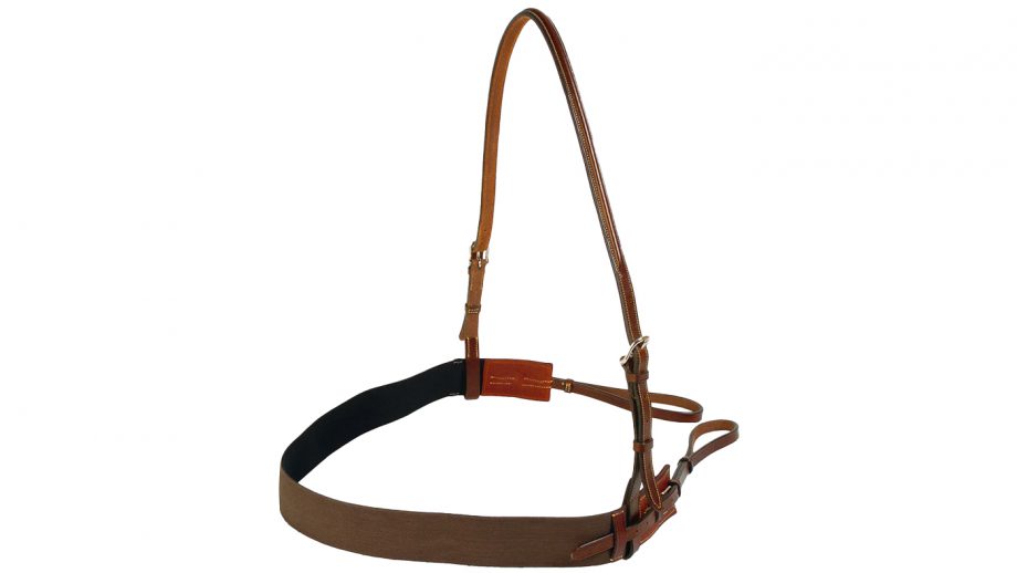Best breastplates for horses in all styles Horse & Hound