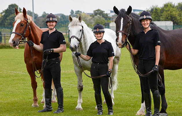police-horses-award