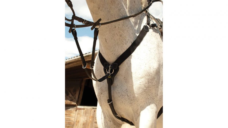 Best breastplates for horses in all styles Horse & Hound