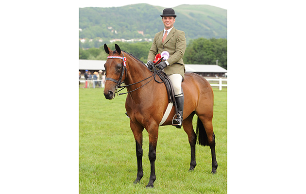 Jordan Cook riding Royal Enchantment, winners of the Large Hack and Hack Championship, Royal Three Counties Show, 19-6-16