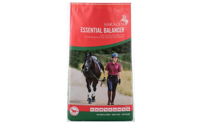 saracen_essential_balancer_bag_upright_cutout-4591-2-640-x-400