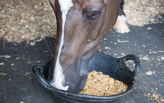 saracen_summer_trade_day-5522-2-640x400