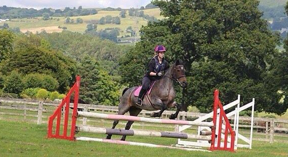 screen-shot-2016-09-20-at-13-52-16