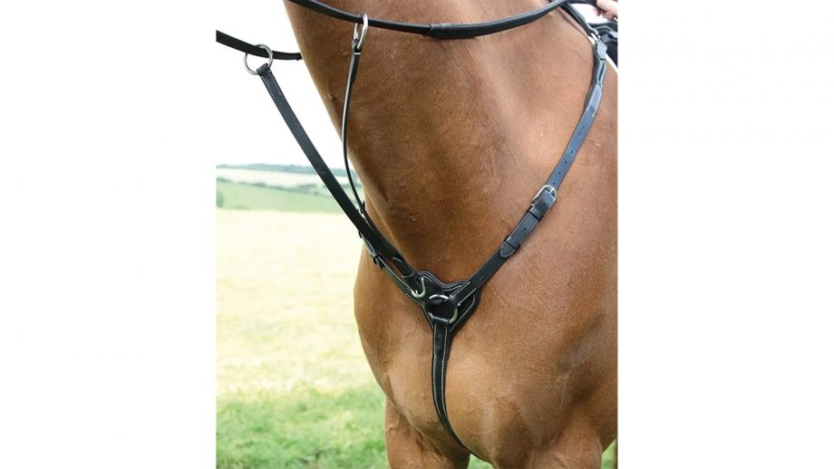 Best breastplates for horses in all styles Horse & Hound