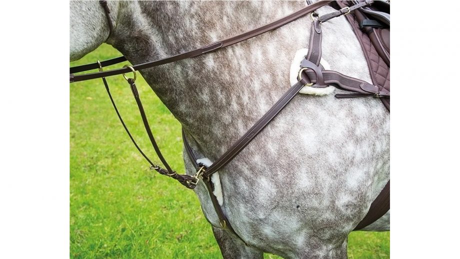 Best breastplates for horses in all styles Horse & Hound