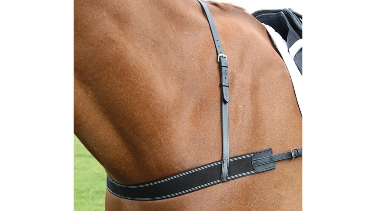 Best breastplates for horses in all styles Horse & Hound