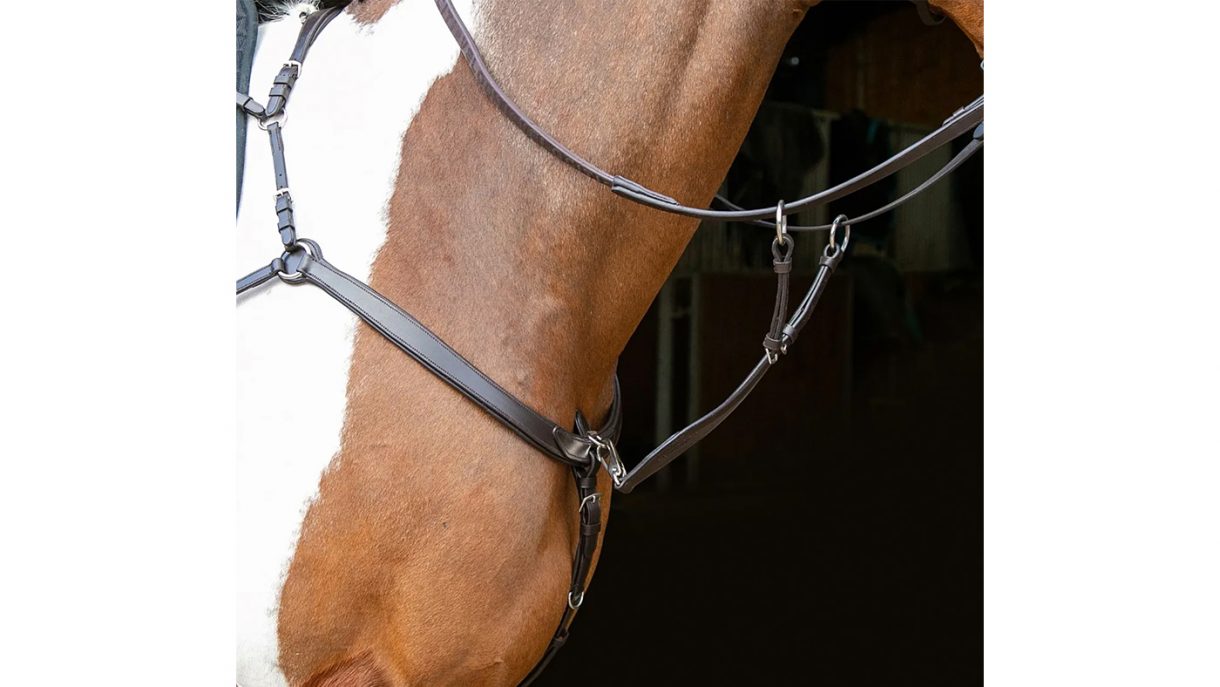 Best breastplates for horses in all styles Horse & Hound