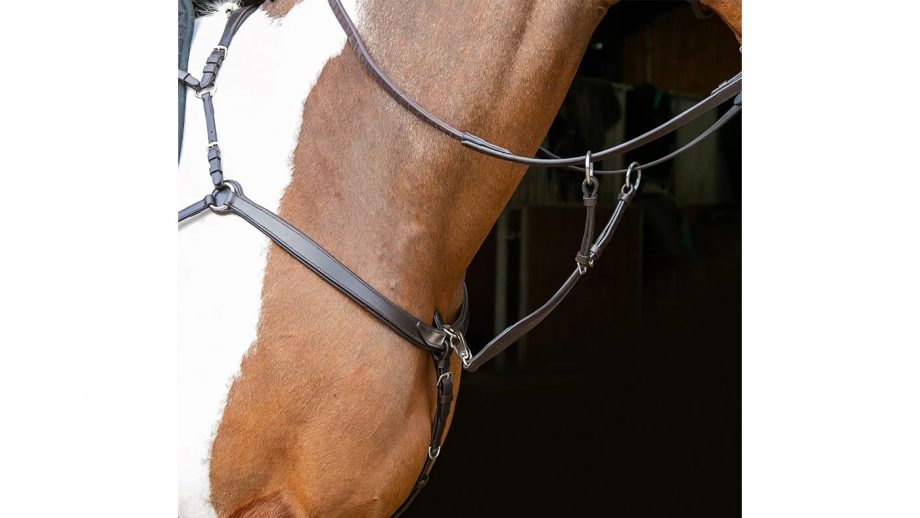 Best breastplates for horses in all styles Horse & Hound