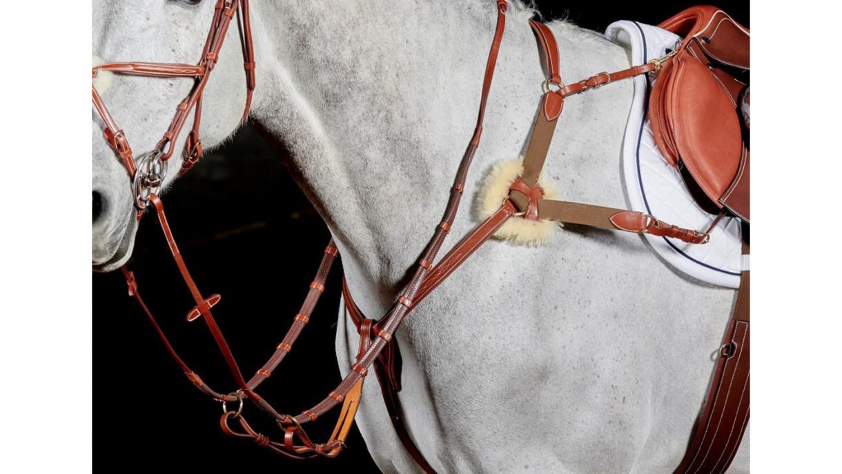 Best breastplates for horses in all styles Horse & Hound