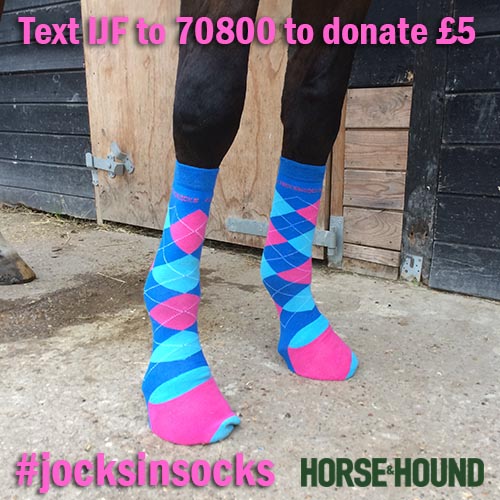 Why your horse should be wearing socks this season Horse & Hound