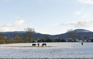 Turn out in field turning out snow winter cold frost