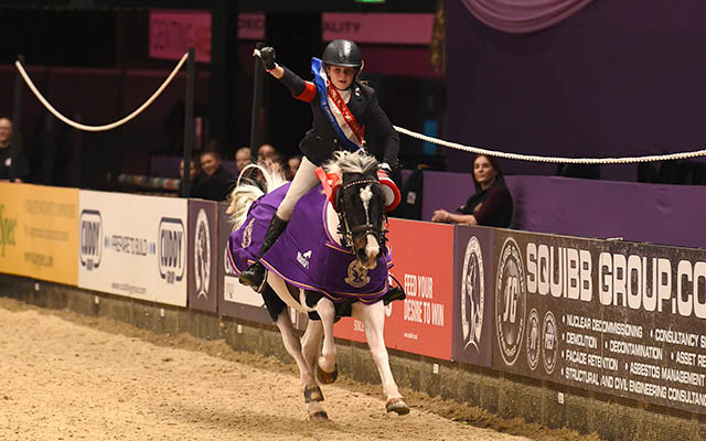 Rachel Proudley  riding PAINTED LADY IV owned by Paul Proudley, winner of the 128 cm Championship (Class 7) during HOYS in the NEC in Warwickshire in the UK on 8th October 2016