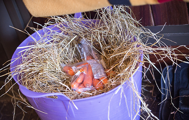 Nick Skelton and Big Star - Shelfield Green, Alcester, Warwickshire, United Kingdom - 01 September 2016